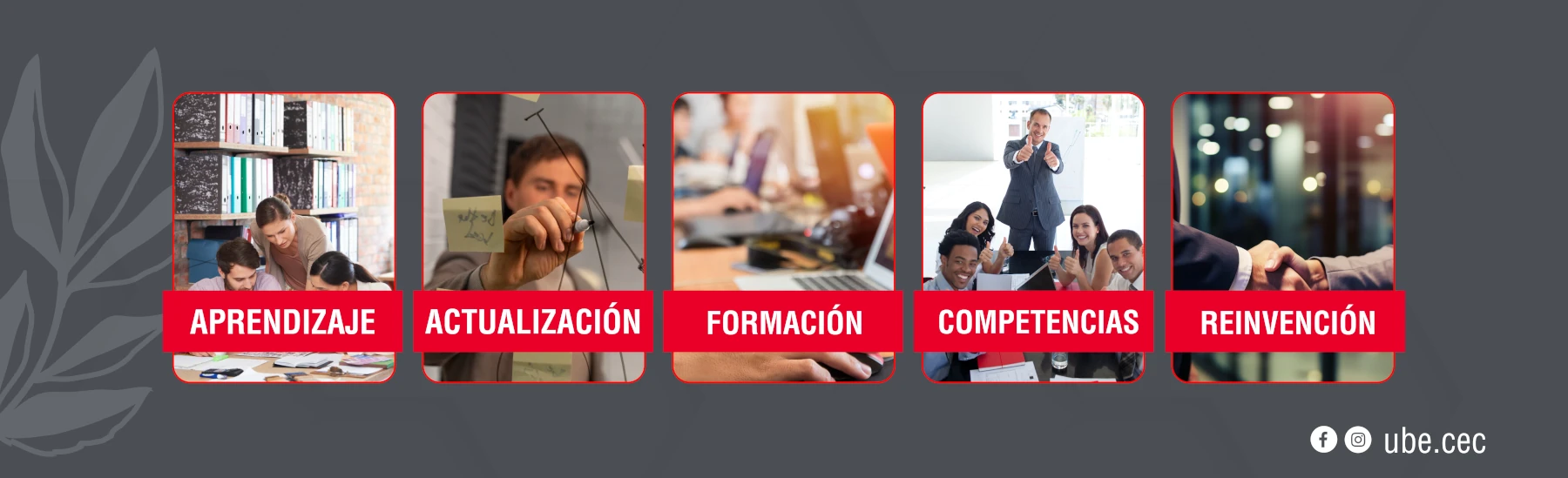 Tercera imagen